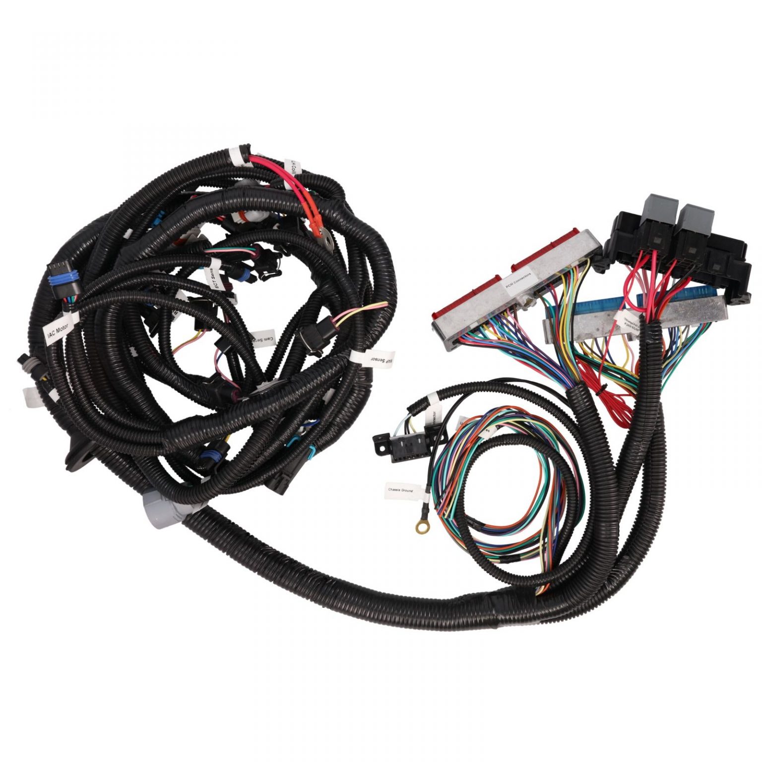 LS Swap Standalone LS Engine Wiring Harness With L E Drive By Cable KarlKustoms Com